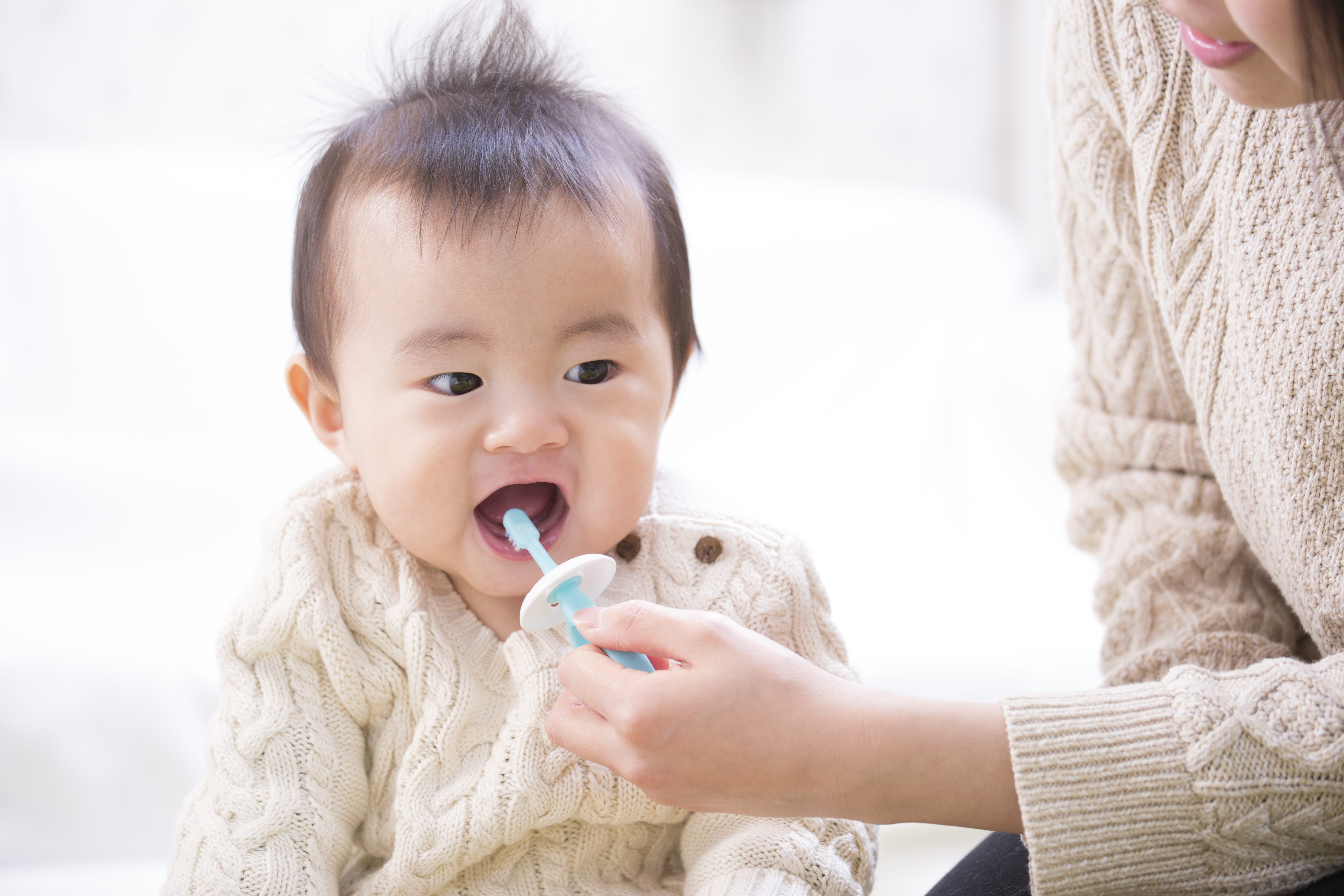 虫歯が生えてきたら（生後６ヵ月～）歯とは