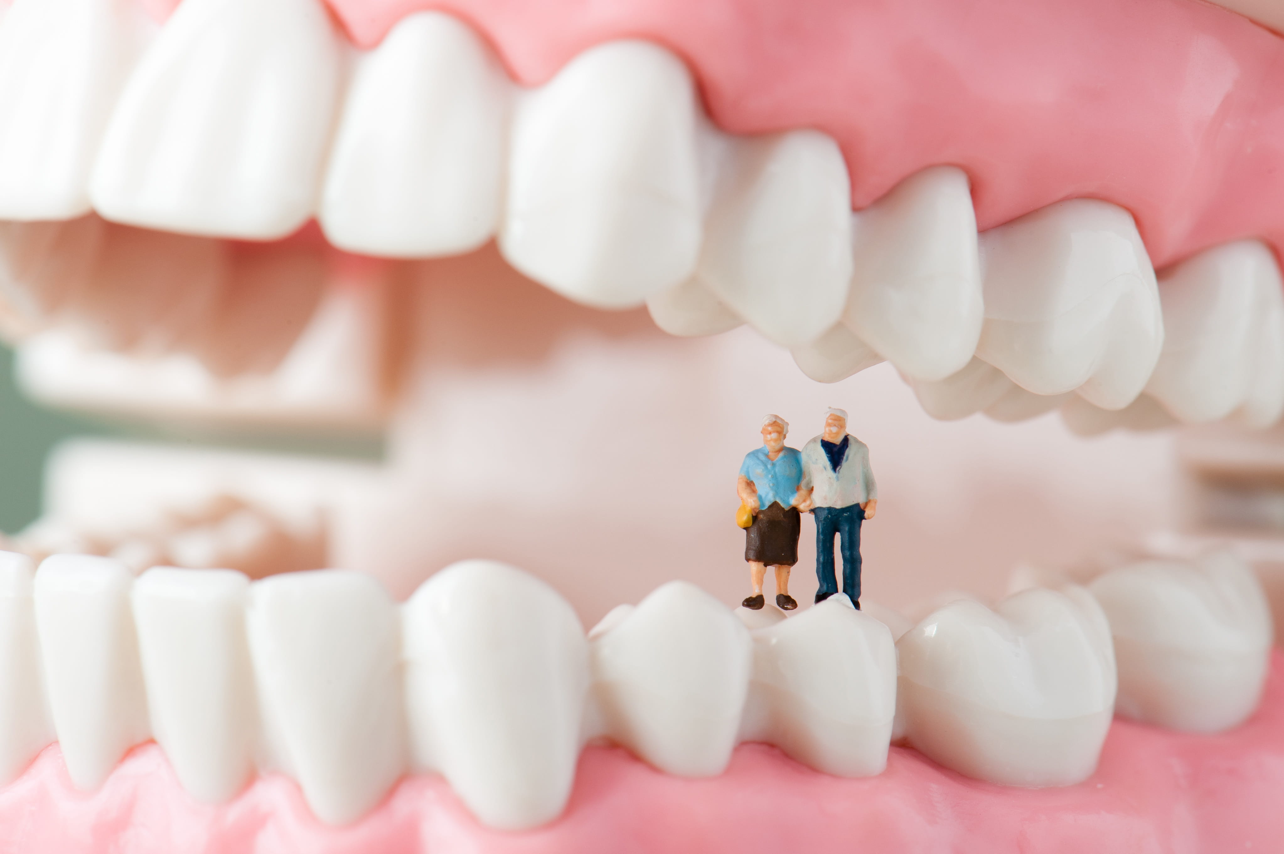 歯年齢を重ねるほど歯周病は要注意周病とは